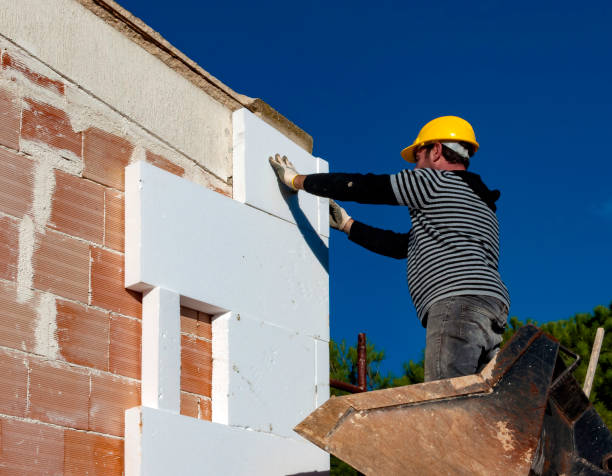 Best Local Insulation Services  in Belleair Bluffs, FL