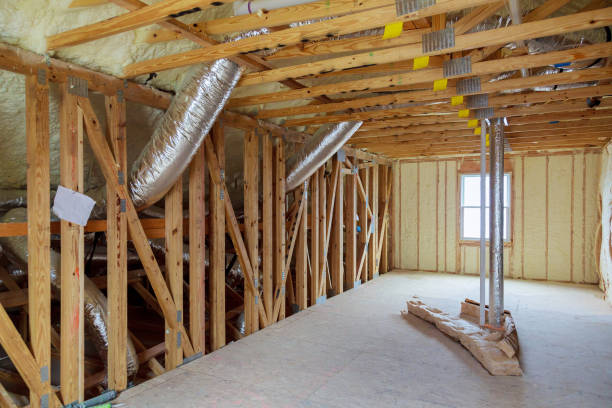 Best Insulation Removal  in Belleair Bluffs, FL