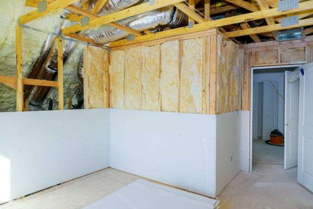 Trusted Belleair Bluffs, FL Insulation Contractor Experts