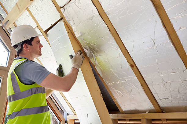 Best Professional Insulation Contractor  in Belleair Bluffs, FL