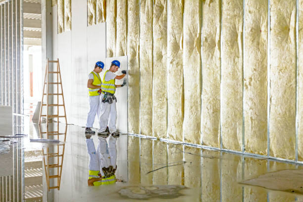 Best Insulation Contractors for Homes  in Belleair Bluffs, FL